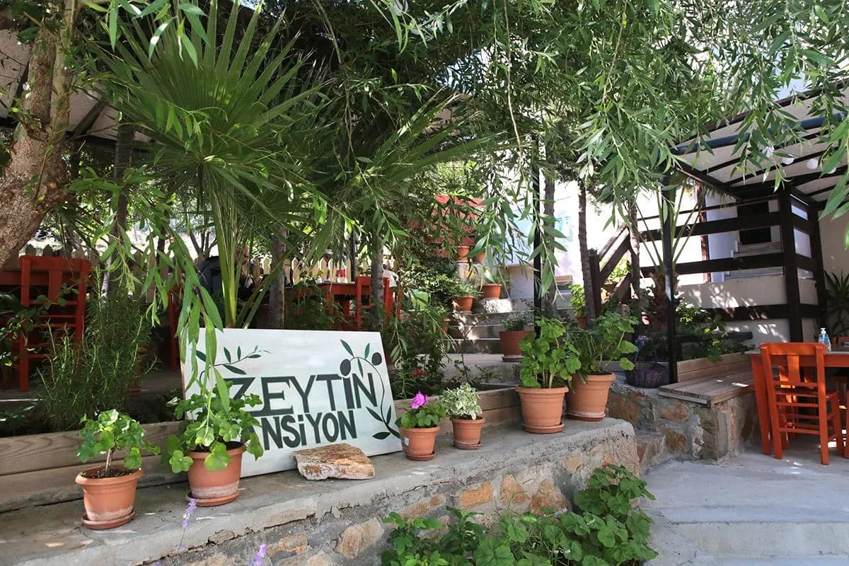 Zeytin Suit Pansiyon