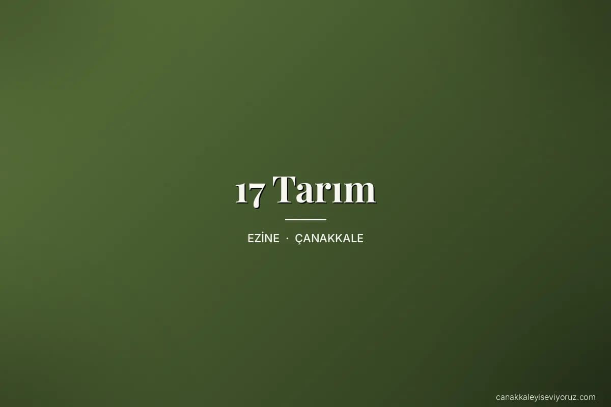 17 Tarım